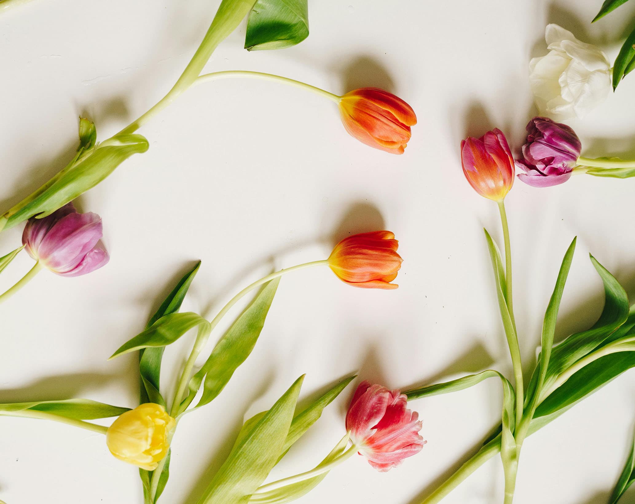 street-shoes-schuhe-fuer-das-fruejahr