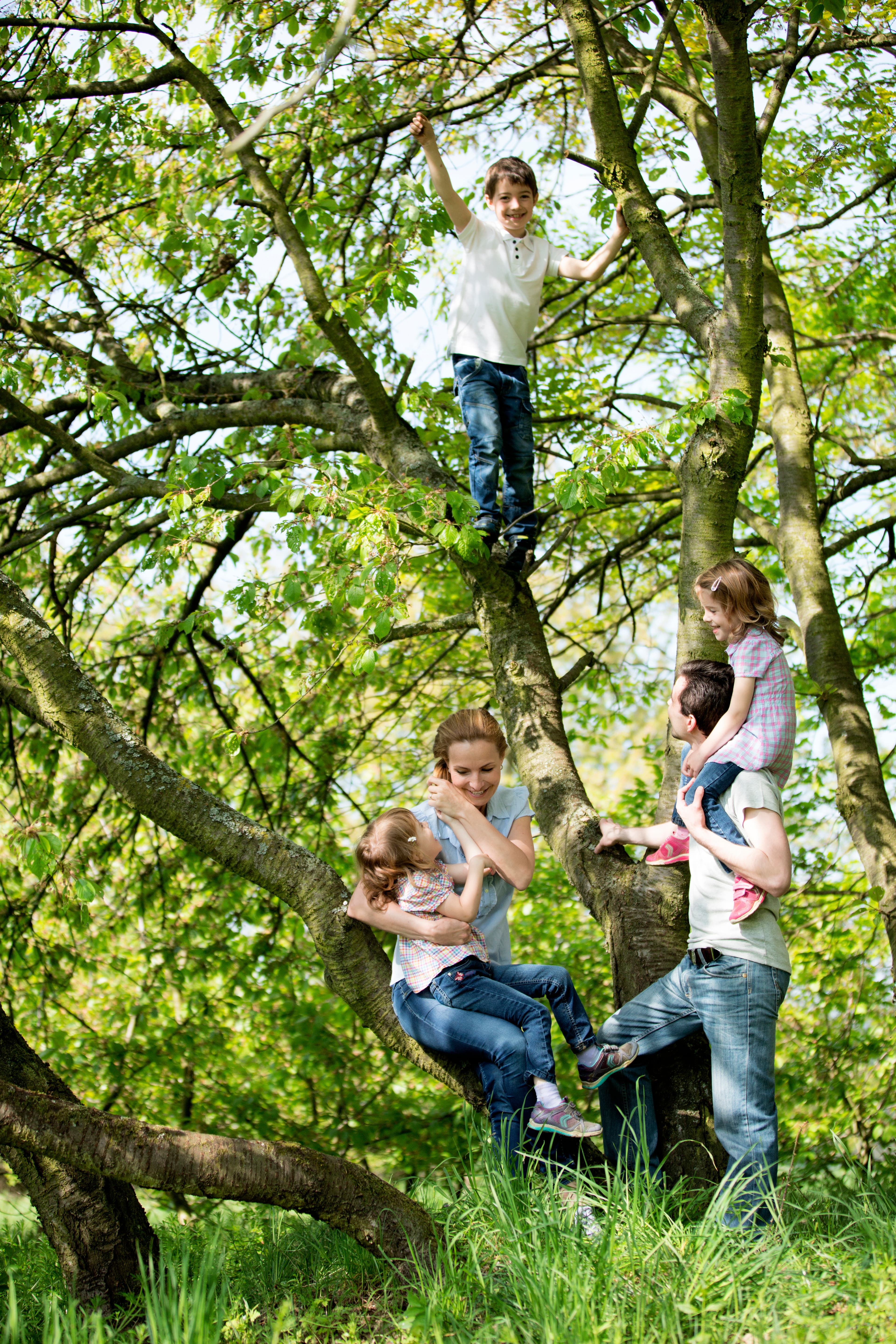 Familie klettert am Baum im Wald